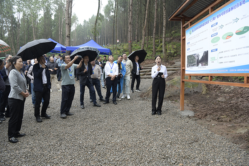 全省國家儲備林建設(shè)工作現(xiàn)場推進(jìn)會(huì)參觀通江縣兩山公司項(xiàng)目