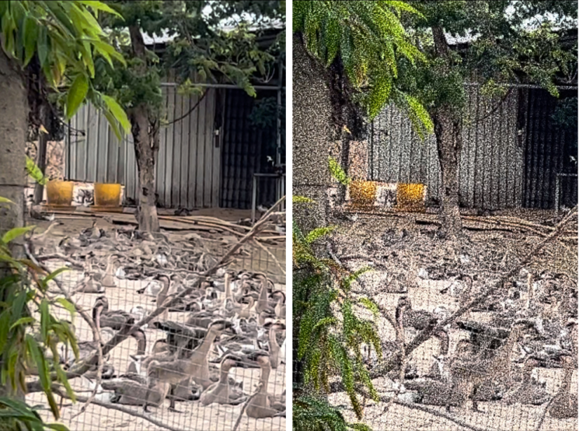 微信图片_20230519135529 微信图片_20230519135529